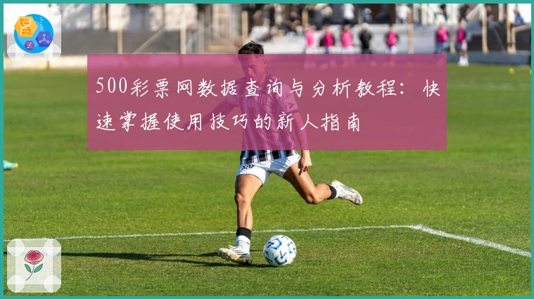 500彩票网数据查询与分析教程：快速掌握使用技巧的新人指南