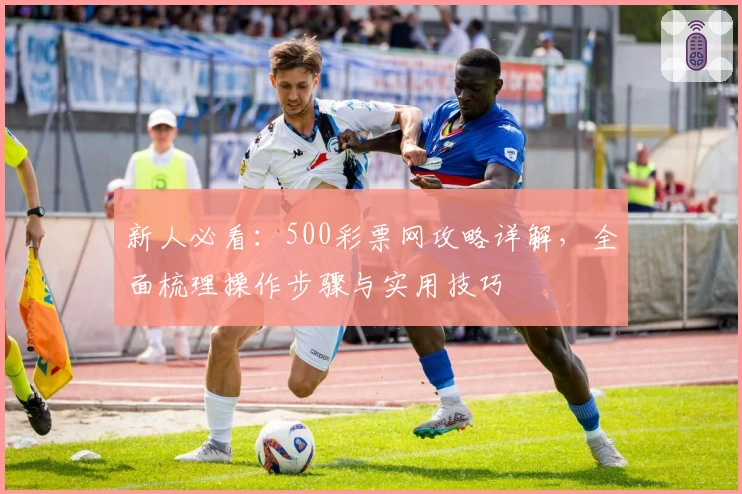 新人必看：500彩票网攻略详解，全面梳理操作步骤与实用技巧