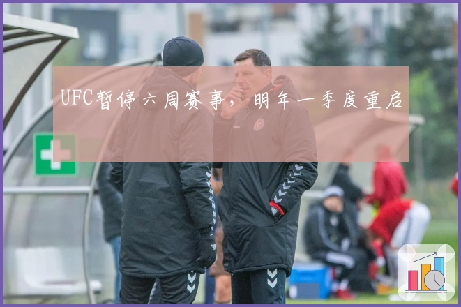 UFC暂停六周赛事，明年一季度重启