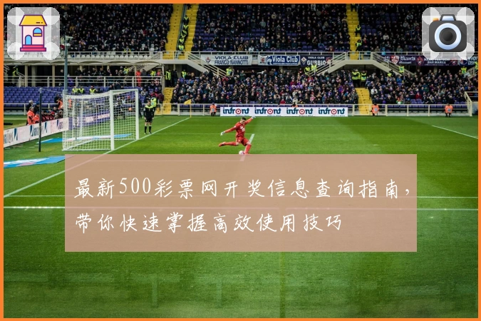 最新500彩票网开奖信息查询指南，带你快速掌握高效使用技巧